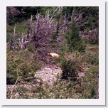 Glacier103 * 2006 x 1332 * (1.55MB)