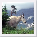 Glacier149 * 2014 x 1332 * (1.05MB)