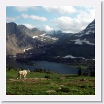 Glacier165 * 2010 x 1332 * (858KB)